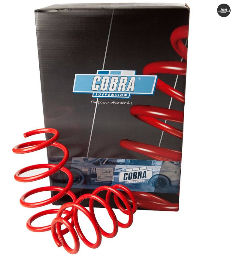 Ressorts courts Cobra le jeu de 2