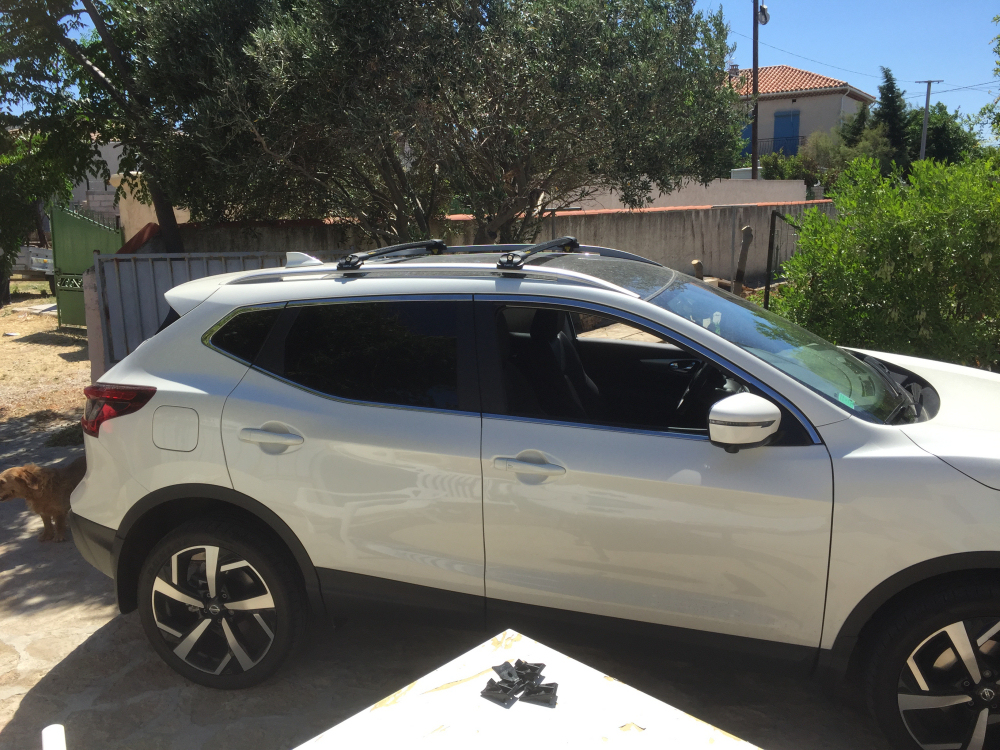 TURTLE QASHQAI 2018 2