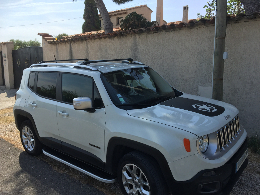 Turtle Black Renegade 1