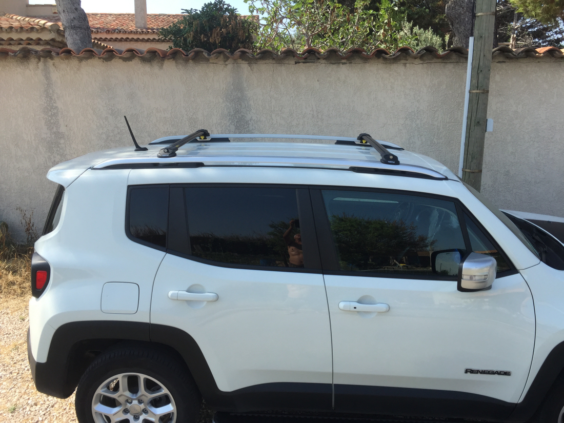 Turtle Black Renegade 2