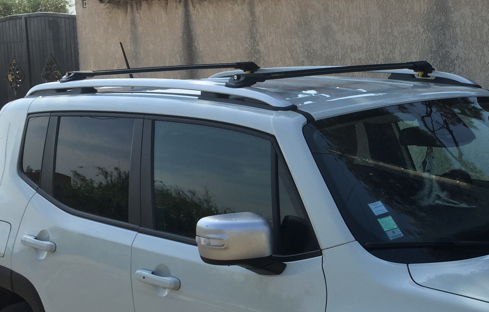 Turtle Black Renegade detail1