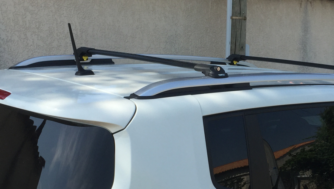 Turtle Black Renegade detail2